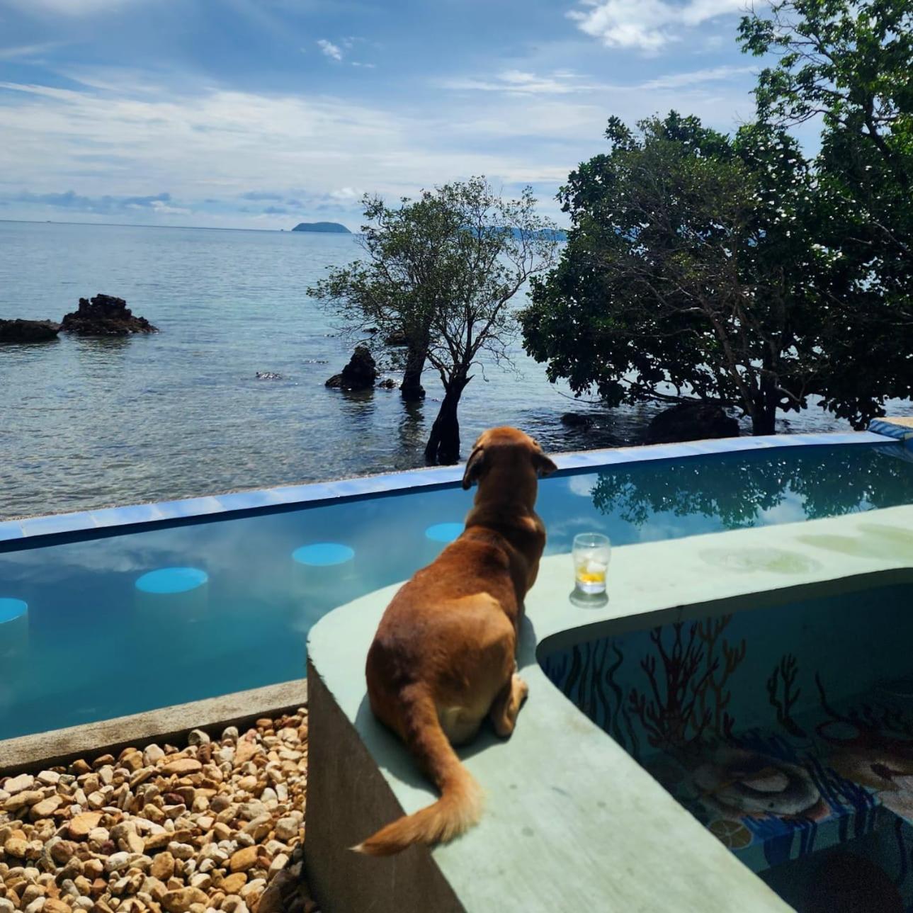 Cocovana Beach Resort (Adults Only) Busuanga Zewnętrze zdjęcie